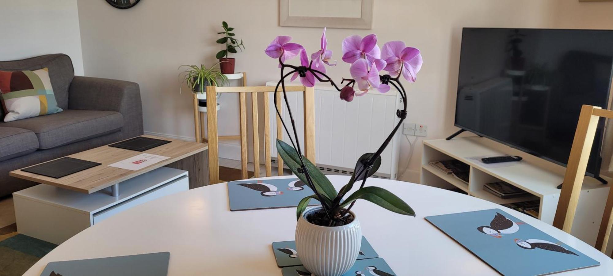 Heart Of Inverness-City Apartment المظهر الخارجي الصورة